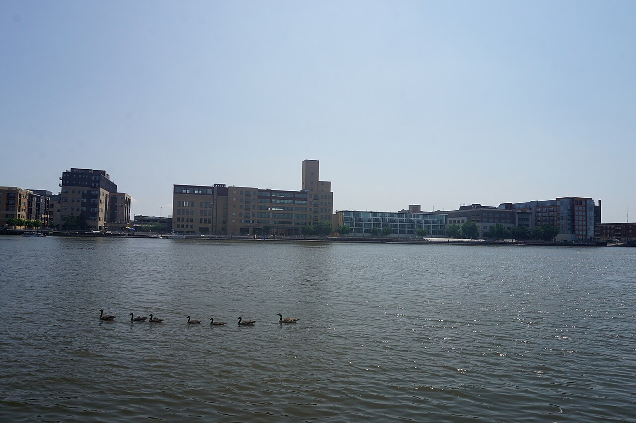 Green Bay skyline across the Fox River with waterfowl in the foreground, photographed in July 2024