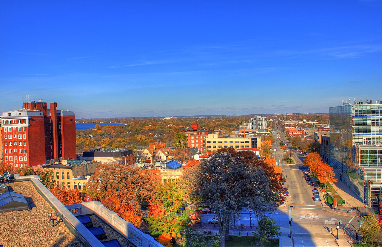 Autumn trees and Madison streets viewed from the Capitol observation deck in November 2013